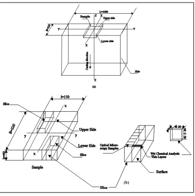 Figure 2. Sectioning of sample (a) slab sample location, (b) specimen location and (c) segregation layer for analysis and examination [12] [15]