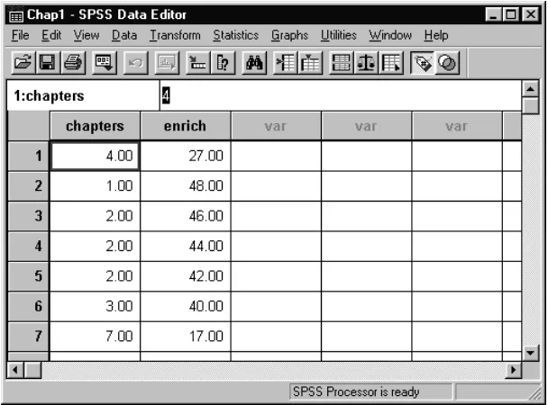 Figure 1.6: The SPSS data editor 