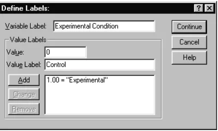 Figure 1.8: Defining coding values in SPSS 