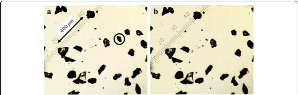 Fig. 4 Optical microscope images of alumina particles (a) before and (b) after applying a centrifugal force at a rotation speed of 300 rpm