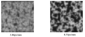 Figure 4 shows the speckle patterns used in this study. Pattern (a) was created with spray paint 