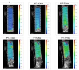 Fig. 8 Compression in GFRP specimen after main represent major strain and the scale bar is adjusted compression strains