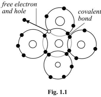 Fig. 1.1 