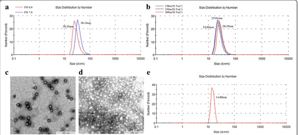 Fig. 1 Expression and purification of CPV VP2 protein co-expressed with Tf16. CPV VP2 protein were analyzed by 12% SDS-PAGE andprotein with an anti-CPV polyclonal antibody
