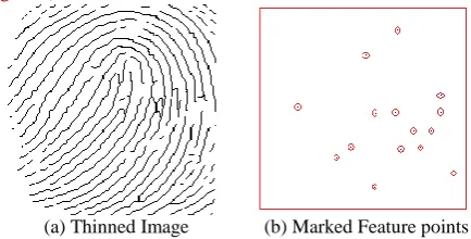 Figure 7. Accurate Feature point Identification. 
