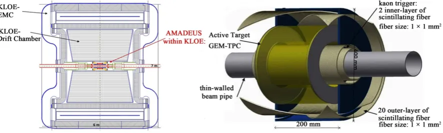 Figure 2: the kaons (blue line) with momentum larger than 100 MeV/c are emitted mainly at forward angles 