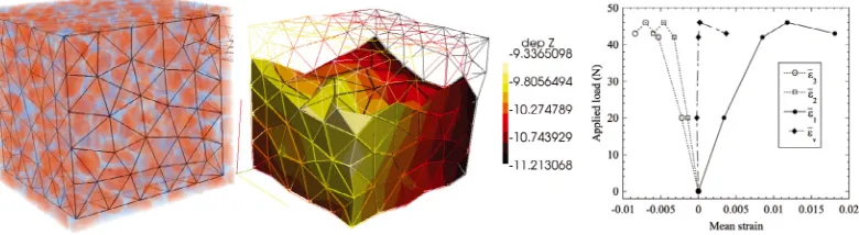 Fig. 2. Study of a polymer bonded particulate composite: FE-DVC using an unstructured mesh