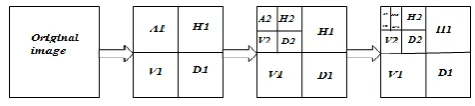 Fig 2: Three levels multiresolution decomposition wavelet sums the output of the pattern neurons that contain the training 