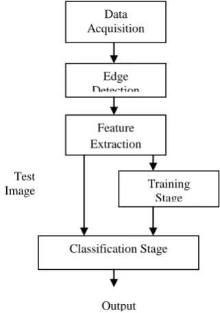 Fig 5: Edge detection of Cancerous image :