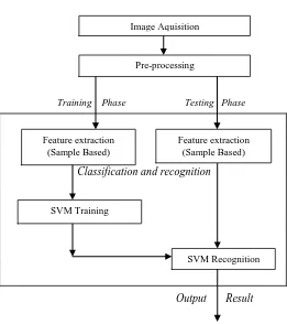 Figure 4. Images of Pre-processing steps