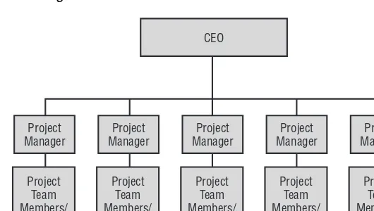 Figure 1.3 shows a typical org chart for a projectized organization.