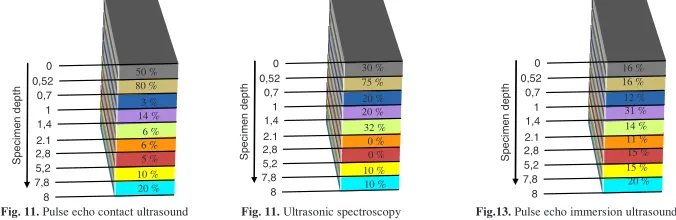 Fig. 11. Pulse echo contact ultrasound 