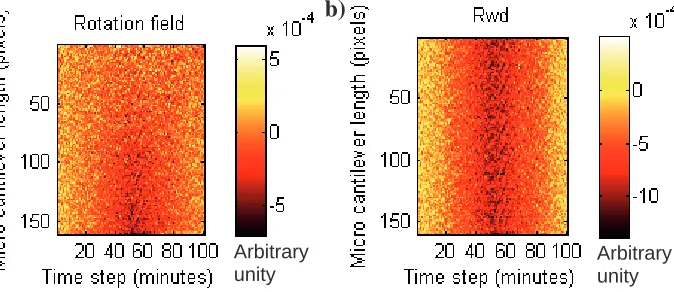 Fig. 2. Electrochemical charge applied on the cantilever as a function of the time.