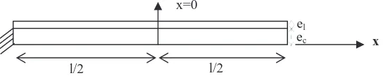 Fig. 3. Modelling of the layer on the cantilever.