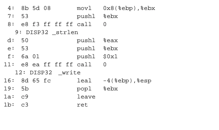 Figure 1-6: Selected parts of executable