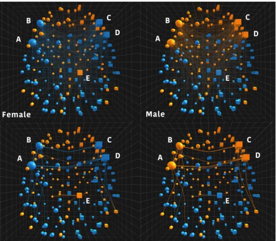 Figure 7. This ﬁgure shows two annotated screen captures taken during a visual analysis session using NeuroCave in which a researcher interactively explores sex-speciﬁc resting-state functional connectomes in the F1000 repository, exploring differences bet