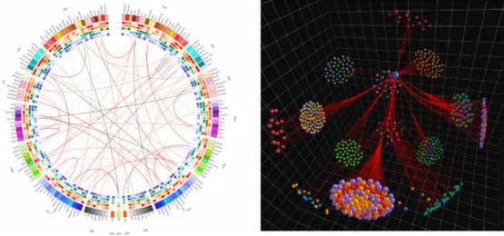 Figure 2. An example of a 2D connectogram (left), taken from the Circos tutorial website (http://circos.ca/tutorials/), versus a 3D platonic solid representation of a connectome and its  mod-ularity using NeuroCave (right)