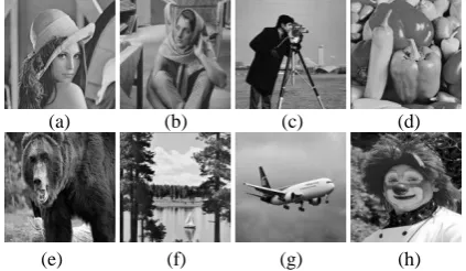 Figure 4. A binary image “Logo MGR” of size 64×64 is used as the watermark image as shown in Figure 5