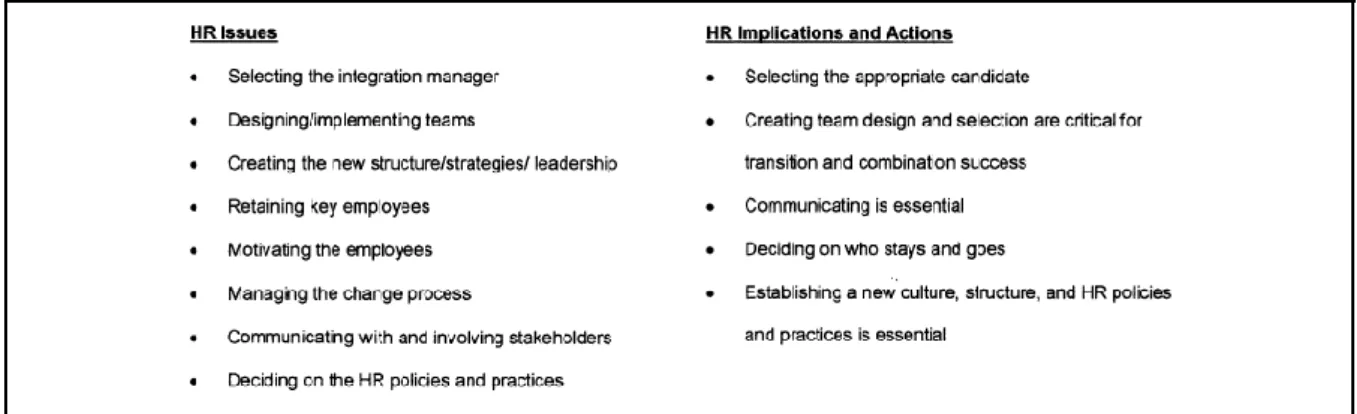Figure 9: Stage 2 - Combination - Integration of the companies (Schuler &amp; Jackson, 2001, p