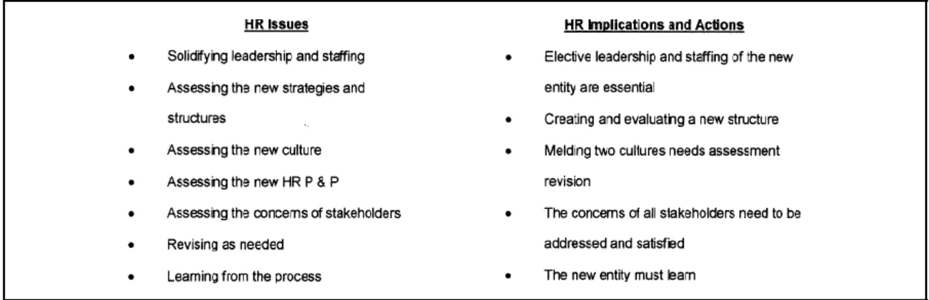 Figure 10: Stage 3 - Solidification and Assessment (Schuler &amp; Jackson, 2001, p. 248) 