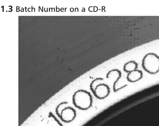 Figure 1.3 Batch Number on a CD-R