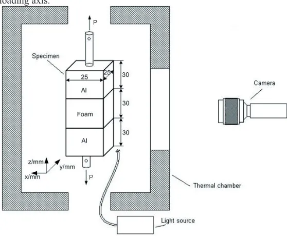 Fig. 1. Experimental setup