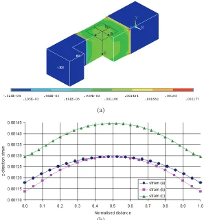 Fig. 2. (b) z-direction stain distribution, (a) 3D view of specimen, (b) distribution along lines a, b and c