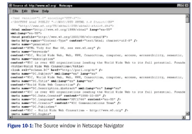 Figure 10-1: The Source window in Netscape Navigator 