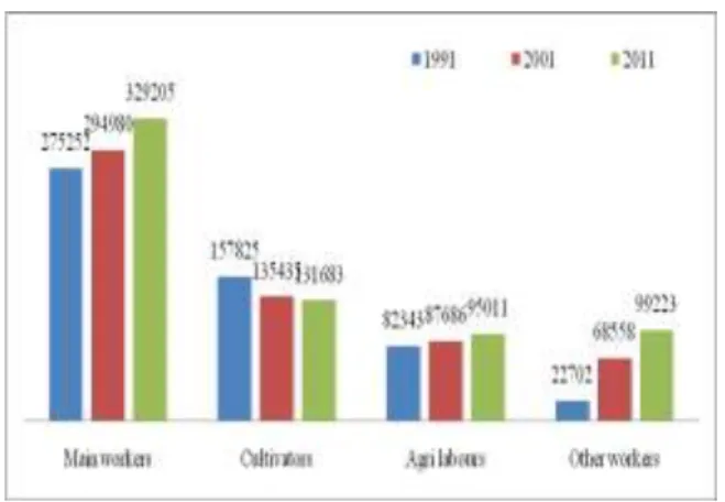 Table No 8: Jhumia Survey Report: 