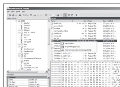 Figure 6-5 Exporting the pageﬁ le.sys ﬁ le