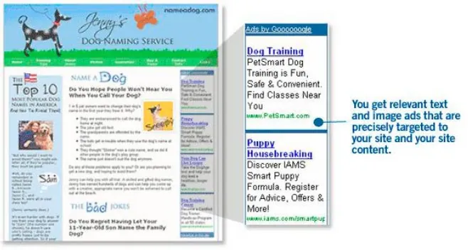 Figure 10.  Google AdSense Screen Shot  