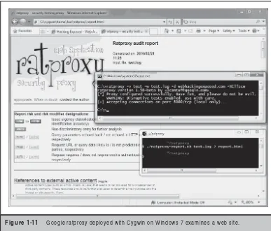 Figure 1-11 Google ratproxy deployed with Cygwin on Windows 7 examines a web site.