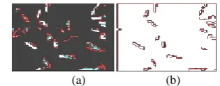 Fig 7:  (a) Original image (b) Gray level image (c) Binary image  