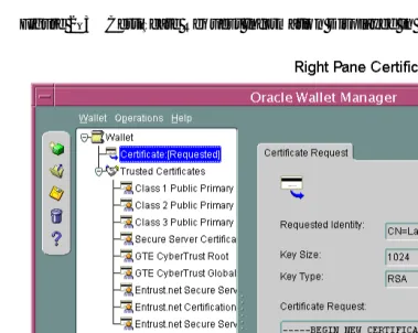 Figure 2–3Certiﬁcate Request Information Displayed in Oracle Wallet Manager Right Pane