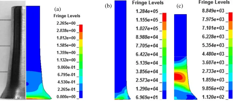 Fig. 11. (a) Comparison between experimental test and numerical simulation (plastic strain) in a Taylor test at 216 m/s; strain rate (s-1) distribution in the same test at t=1.2e-5 s (b) and t=1.1e-4 s (c)