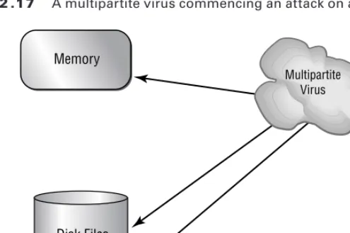 Figure 2.18 shows a polymorphic virus changing its characteristics to avoid detection