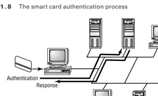 Figure 1.8 depicts a user inserting a smart card into a reader to verify identity. The reader 
