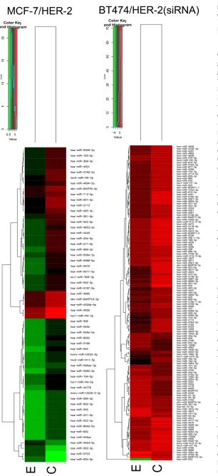 Figure 3. The heartmap of differ-ential expression miRNA in MCF-7, BT474, MCF-7/HER-2, and BT474/HER-2 (siRNA) cells.