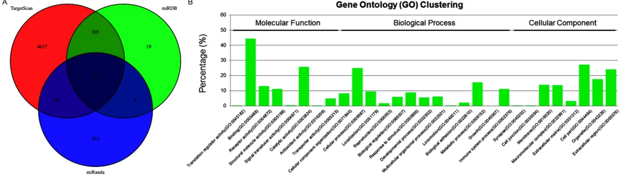Figure 5. The cross-over analysis hsa-miR-877-3p regulated target genes by Venn image, and GO clusering