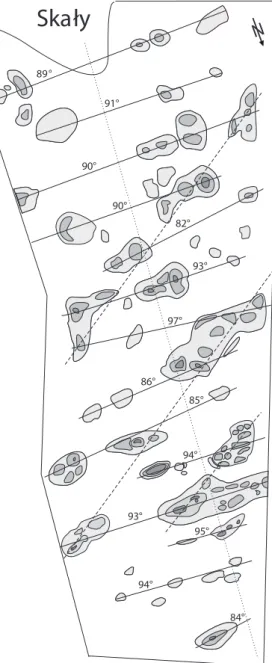 Fig. 12. Distribution of stromatoporoid domes exposed in the Skały Quarry along lineaments (continuous lines)