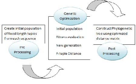 Figure 2 Optimization Process 