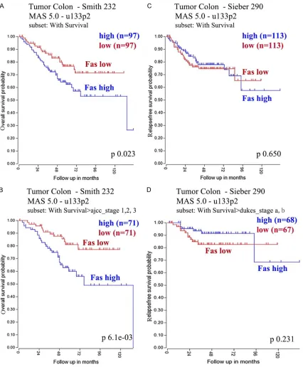 Figure 2. FAS expression in primary CRC is associated with shorter overall survival (OS) in non-metastatic colorectal cancer