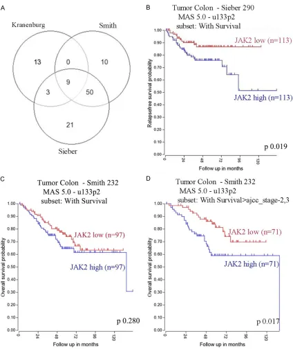Figure 4. FAS-associated genes overlap and JAK2 related Kaplan-Meier curve in different cohorts