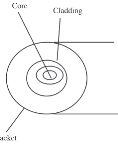 Fig. 1.9 Optical Fiber