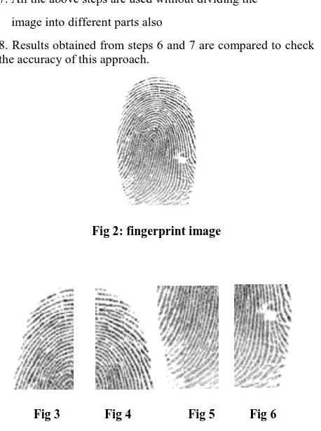 Fig 2: fingerprint image 