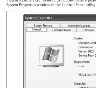 Figure 2-8. System Properties in Control Panel