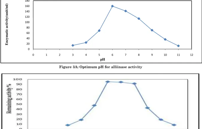 Figure 3B: Optimum pH for alliinase stability 