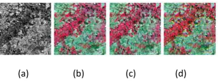 Fig. 7 (a) PAN image  (b) MS image  (C) fused image using DWT  (d) fused image using BFWN 