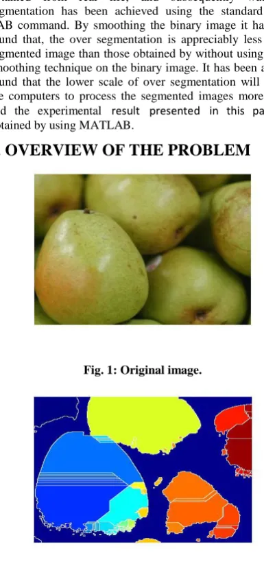 Fig. 1: Original image. 